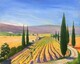 Tuscan Vineyards